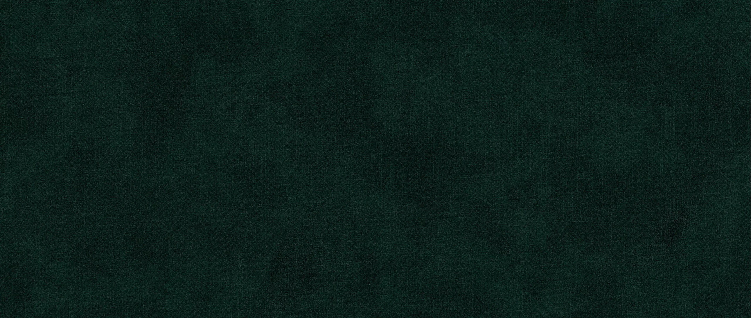 Плат TERRA NW 39